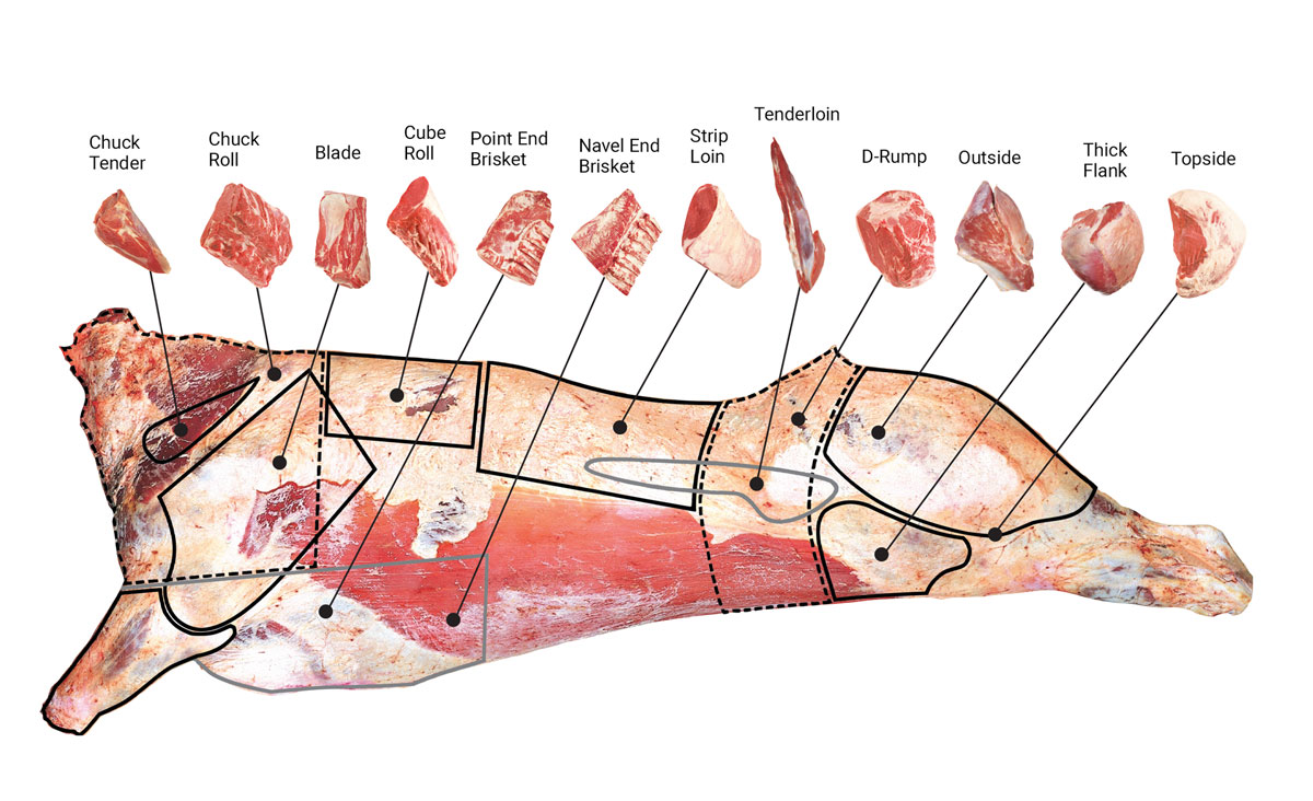 Cuts of beef Tara Valley